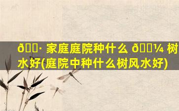 🌷 家庭庭院种什么 🐼 树风水好(庭院中种什么树风水好)